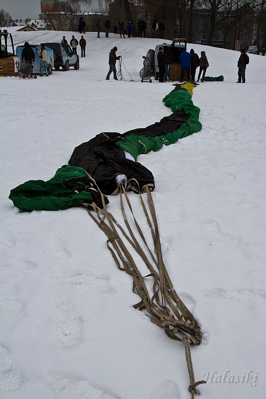 Elk_zima_2012_044.jpg