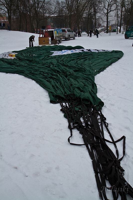 Elk_zima_2012_046.jpg