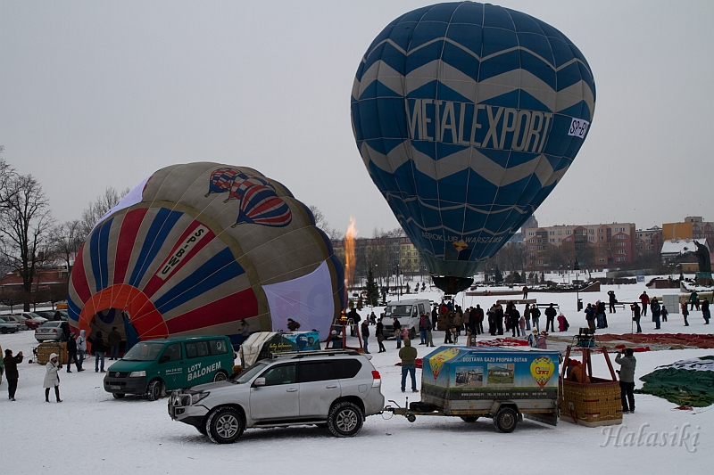 Elk_zima_2012_048.jpg