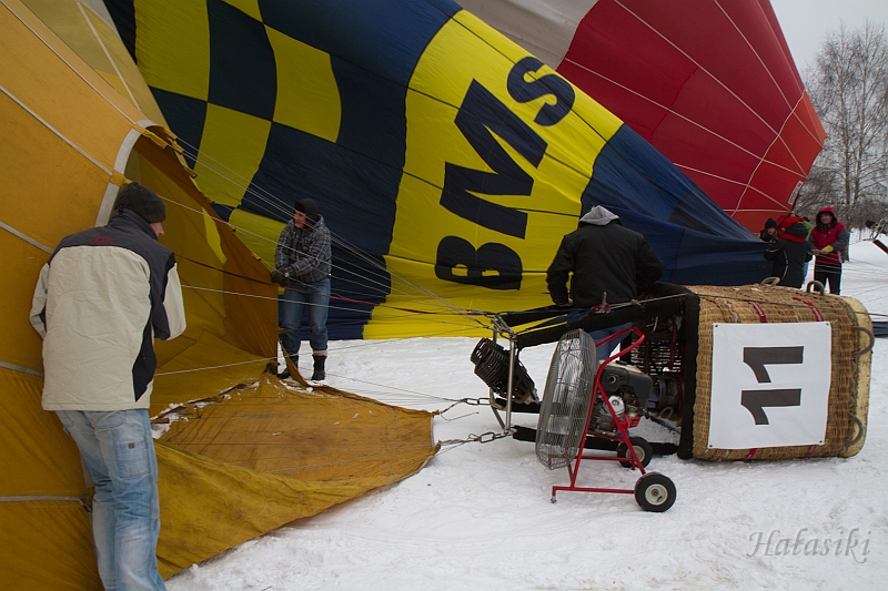 Elk_zima_2012_055.jpg