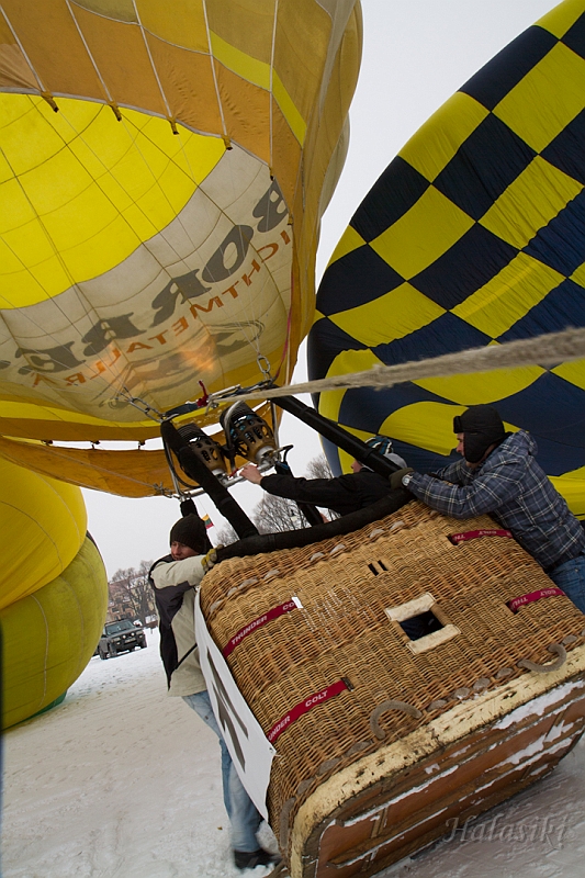 Elk_zima_2012_057.jpg
