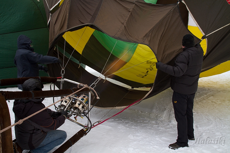 Elk_zima_2012_061.jpg