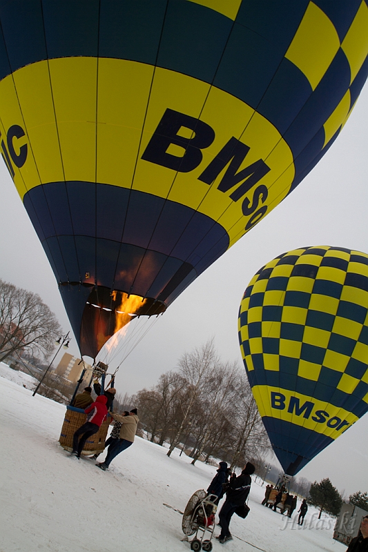Elk_zima_2012_063.jpg