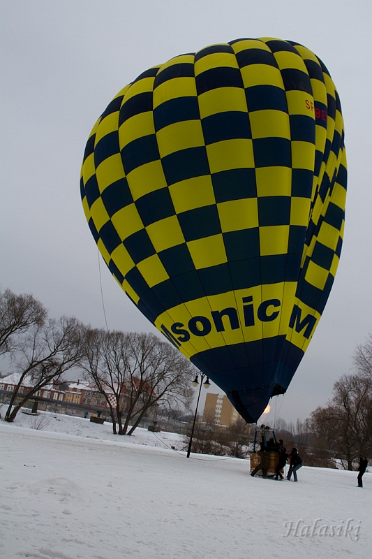Elk_zima_2012_064.jpg