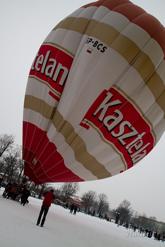 Elk_zima_2012_065.jpg