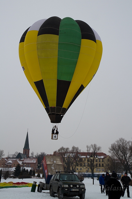 Elk_zima_2012_066.jpg