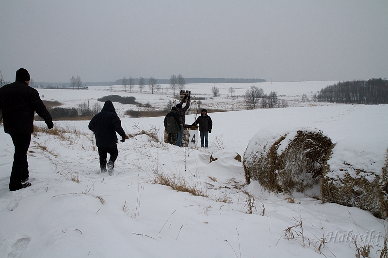 Elk_zima_2012_067.jpg - Po wylądowaniu... wśród pól.