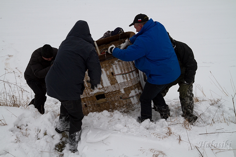 Elk_zima_2012_069.jpg