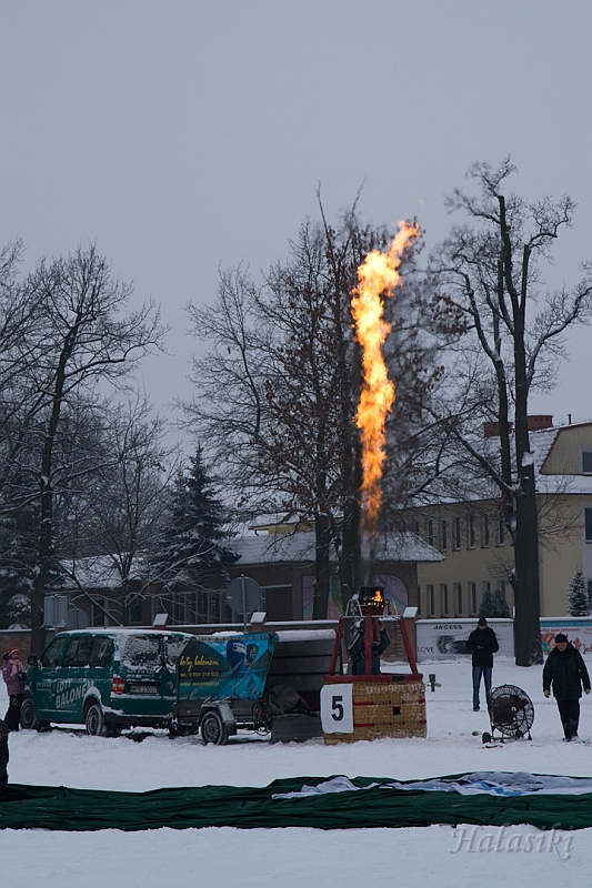 Elk_zima_2012_076.jpg
