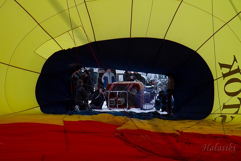 Elk_zima_2012_077.jpg