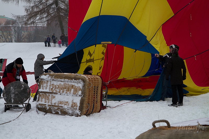 Elk_zima_2012_081.jpg