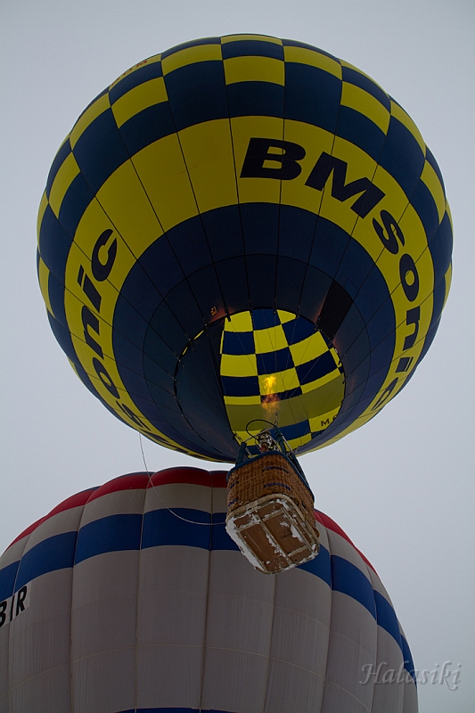 Elk_zima_2012_089.jpg