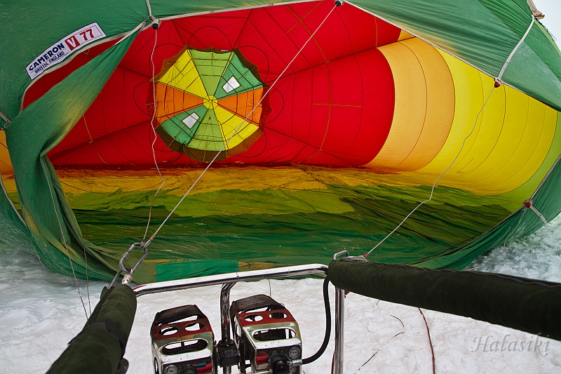 Elk_zima_2012_090.jpg