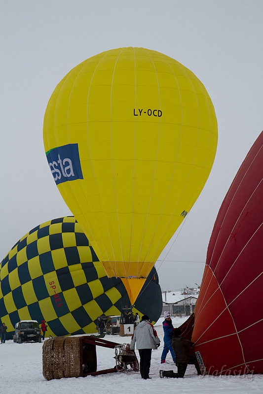 Elk_zima_2012_091.jpg