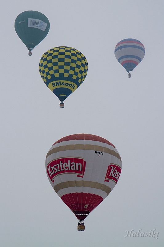 Elk_zima_2012_099.jpg