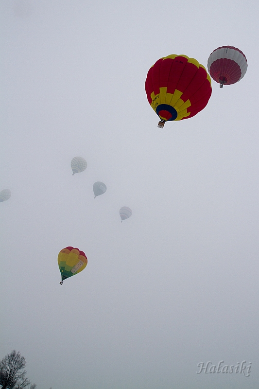 Elk_zima_2012_102.jpg