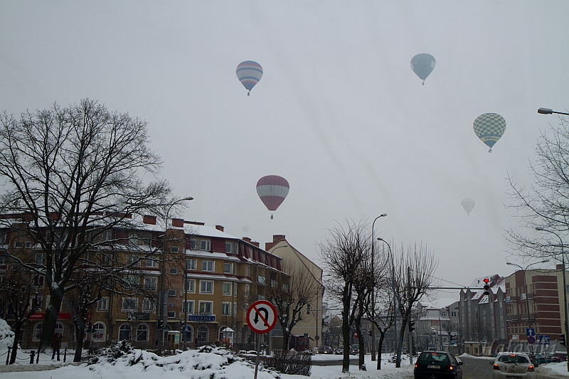 Elk_zima_2012_103.jpg