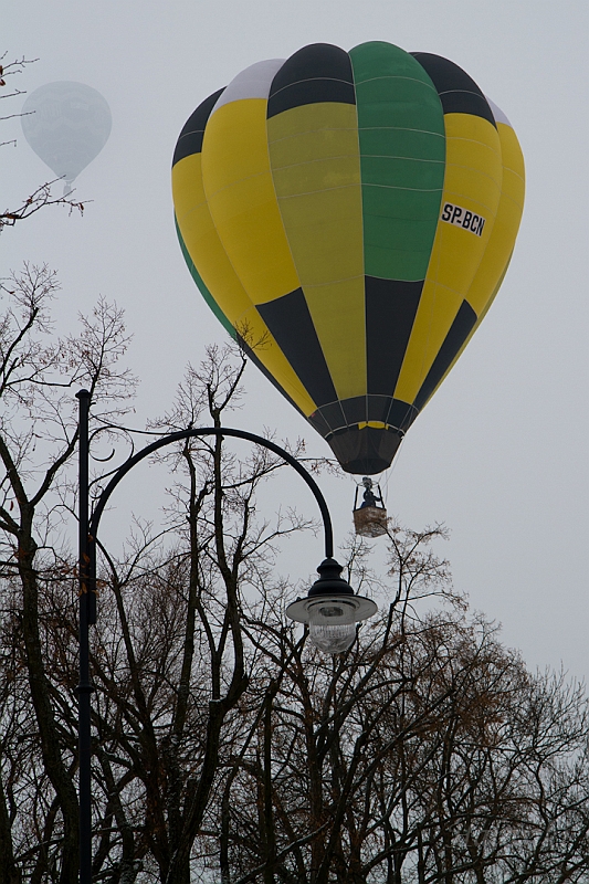 Elk_zima_2012_104.jpg