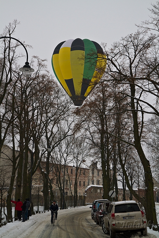 Elk_zima_2012_105.jpg