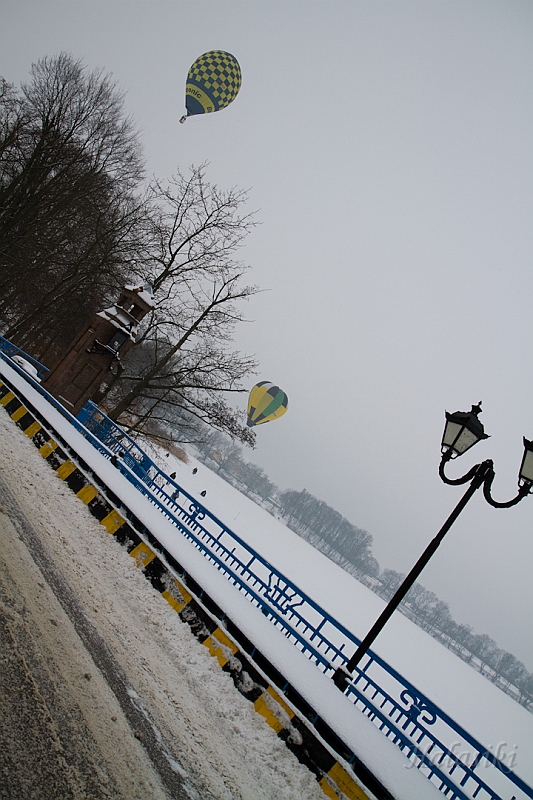 Elk_zima_2012_107.jpg