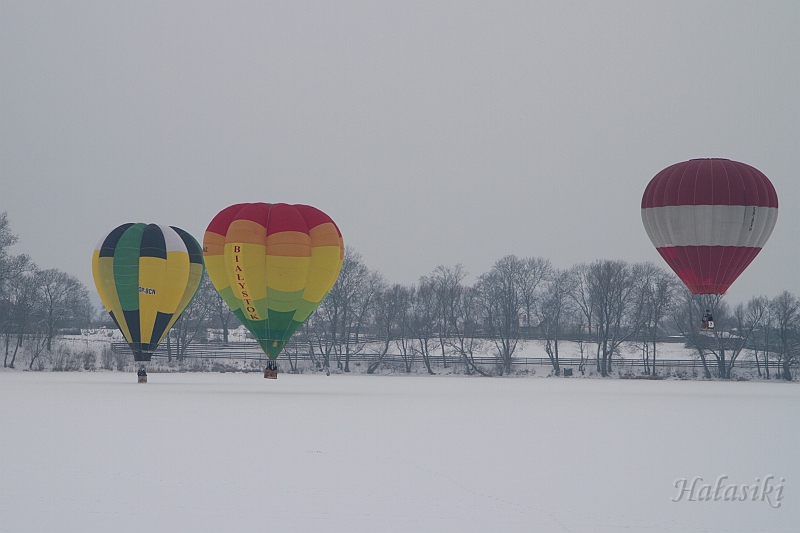 Elk_zima_2012_109.jpg