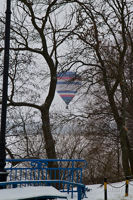 Elk_zima_2012_111.jpg