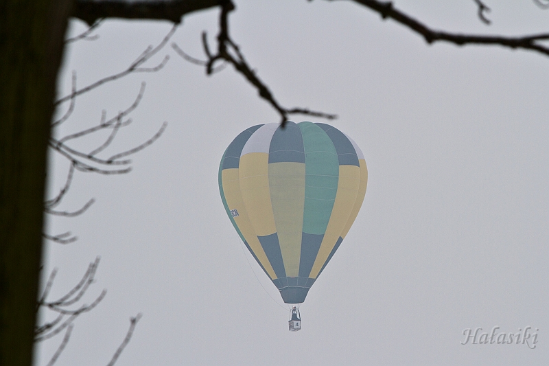 Elk_zima_2012_114.jpg