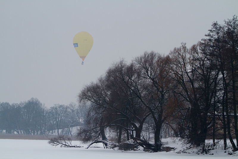 Elk_zima_2012_116.jpg
