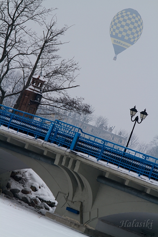 Elk_zima_2012_117.jpg