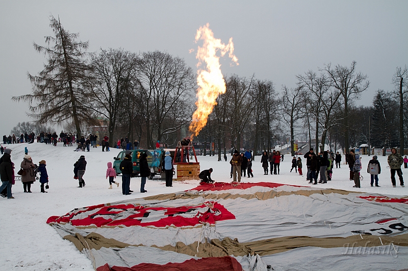 Elk_zima_2012_120.jpg