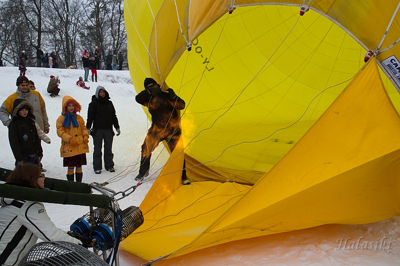 Elk_zima_2012_125.jpg