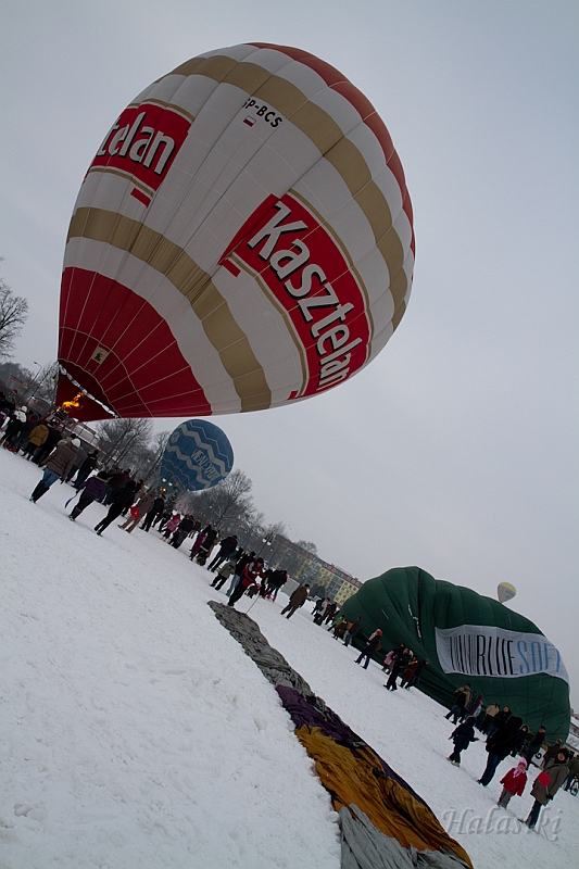 Elk_zima_2012_126.jpg