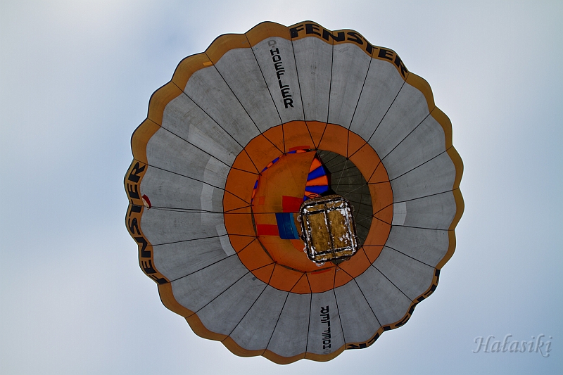 Elk_zima_2012_133.jpg
