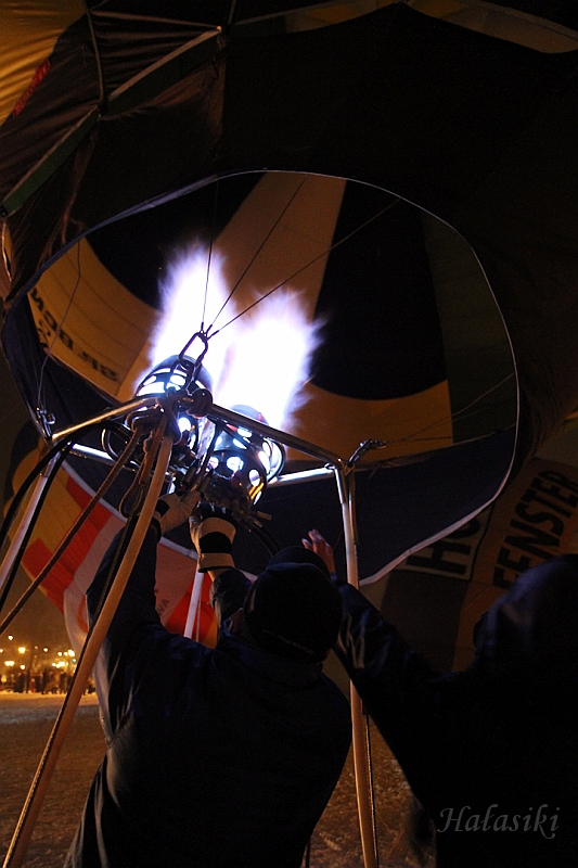 Elk_zima_2012_139.jpg