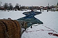 Elk_zima_2012_042