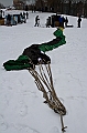 Elk_zima_2012_044