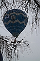 Elk_zima_2012_050