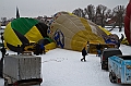 Elk_zima_2012_051