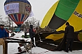Elk_zima_2012_054