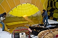 Elk_zima_2012_056