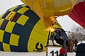 Elk_zima_2012_058