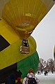 Elk_zima_2012_059