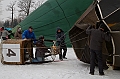 Elk_zima_2012_060