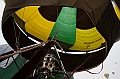 Elk_zima_2012_062