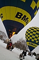 Elk_zima_2012_063