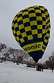 Elk_zima_2012_064