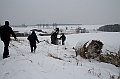 Elk_zima_2012_067