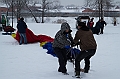 Elk_zima_2012_073