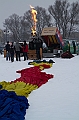 Elk_zima_2012_074