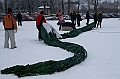 Elk_zima_2012_075